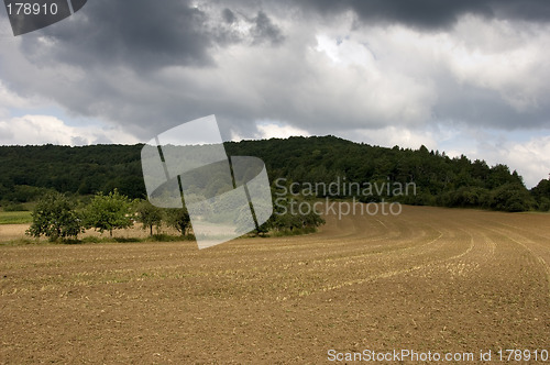 Image of Harvested