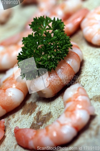 Image of tasty fresh shrimps