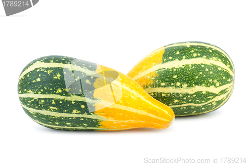 Image of Two yellow-green fancy pumpkins