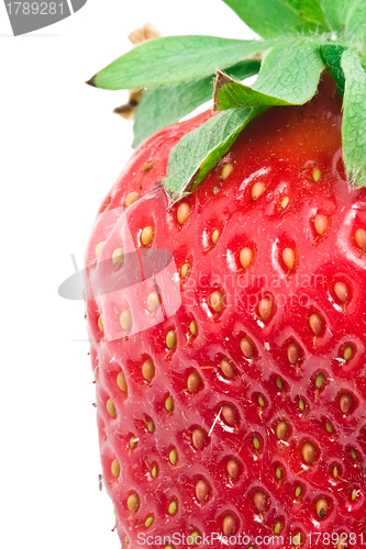 Image of Strawberry