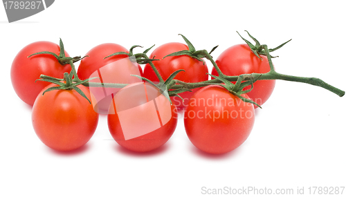 Image of Tomatoes