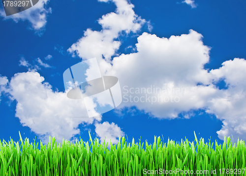 Image of Summer background