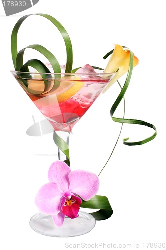 Image of Tropical Cocktail