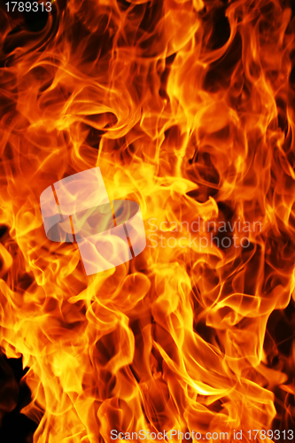 Image of Fire