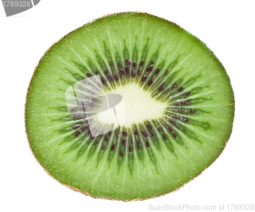Image of Kiwi