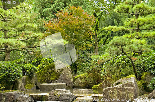 Image of Japanese garden 02