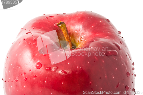 Image of Apple