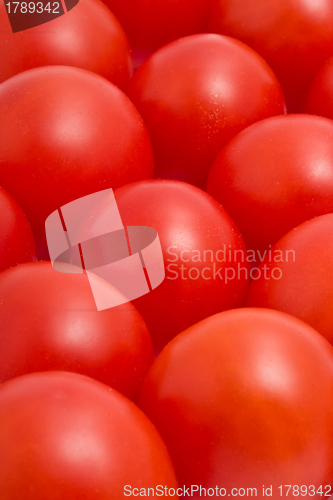 Image of Tomatoes