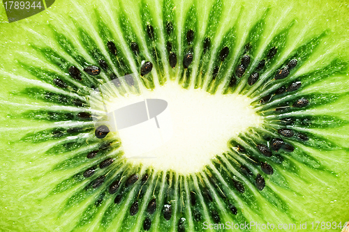 Image of Kiwi