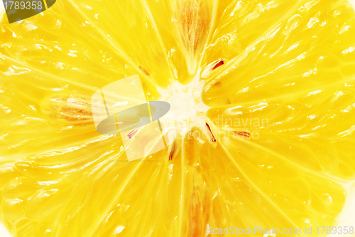 Image of Lemon