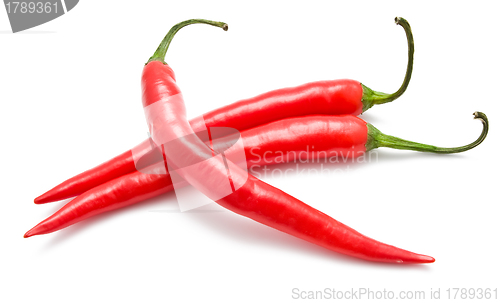 Image of Pepper