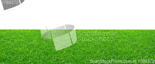 Image of Green field