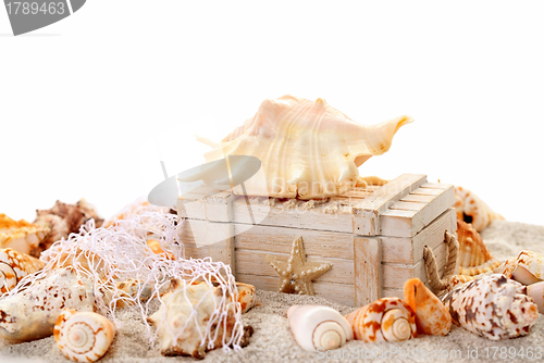 Image of Seashells and treasure chest