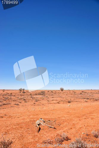 Image of australian red desert