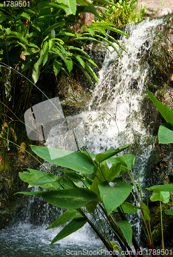 Image of waterfall cascade