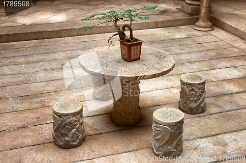 Image of bonsai plant on table