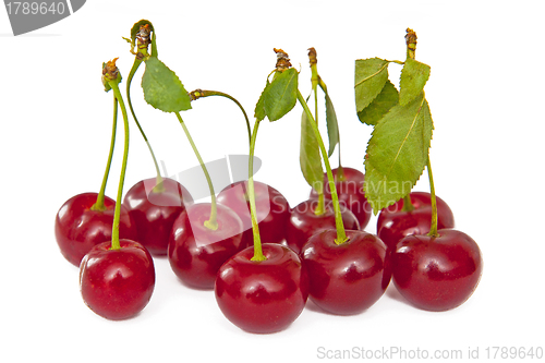 Image of Cherries