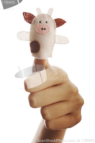 Image of The finger puppet
