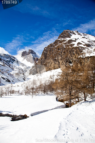 Image of Sunny day on Alps