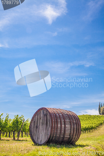 Image of Tuscany wineyard