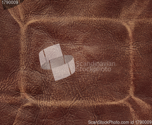 Image of Brown leather