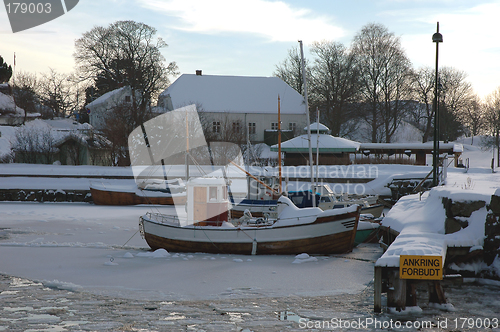 Image of Winter landscape