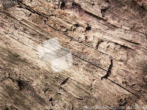 Image of Wood texture