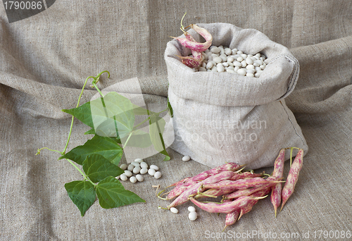Image of Beans in  the sack