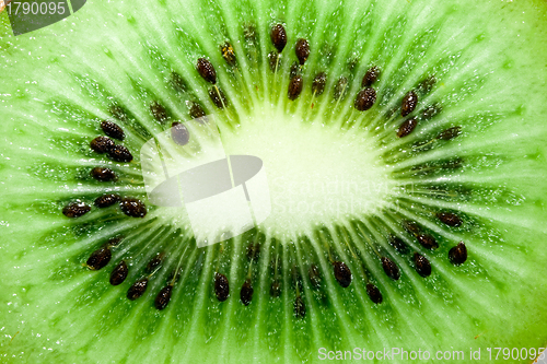 Image of Fresh kiwi