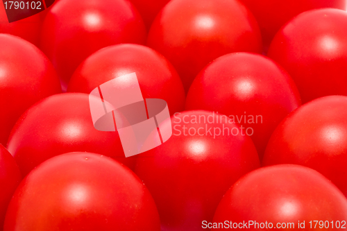 Image of Tomatoes