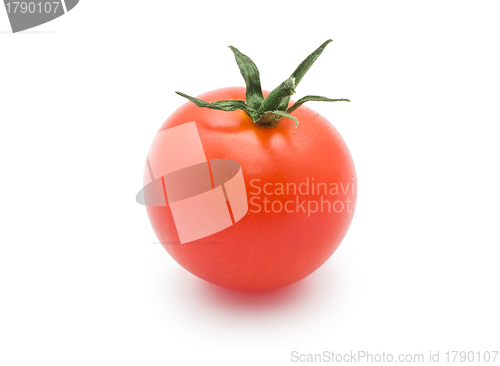 Image of Tomato