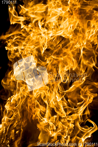 Image of Fire