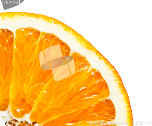 Image of Orange