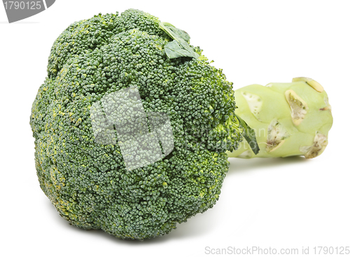 Image of Broccoli 