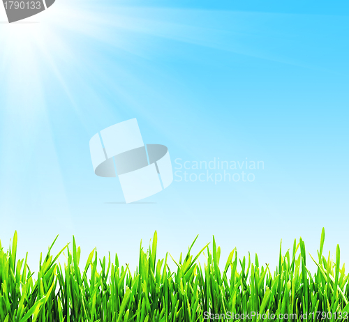 Image of Spring background