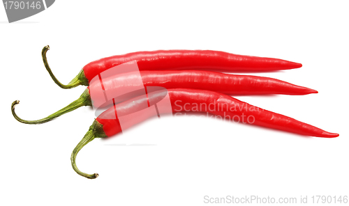 Image of Pepper