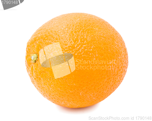 Image of Orange