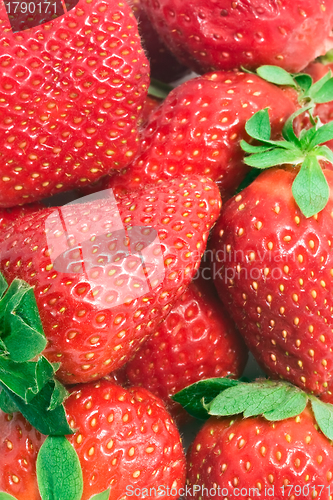 Image of Strawberry