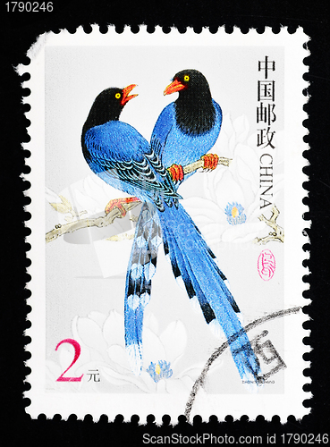 Image of CHINA - CIRCA 2002: A Stamp printed in China shows image of two blue birds, circa 2002