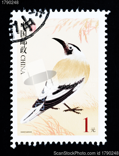 Image of CHINA - CIRCA 2002: A Stamp printed in China shows image of a wild bird, circa 2002