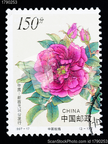 Image of CHINA - CIRCA 1997: A Stamp printed in China shows Chinese rose flowers, circa 1997