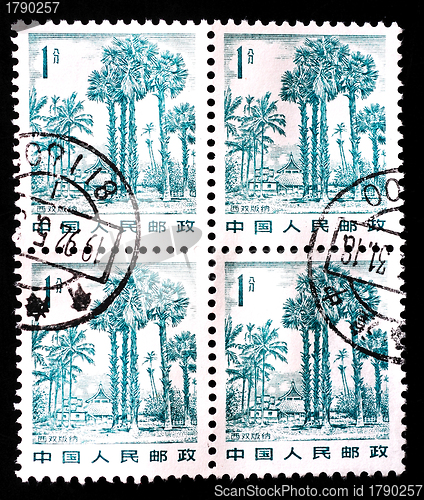 Image of CHINA - CIRCA 1982: A stamp printed in China shows landscape in Xishuangbanna, circa 1982 