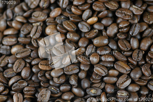 Image of Coffe beans # 03