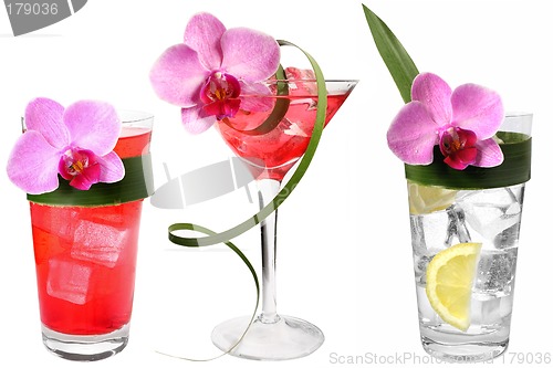 Image of Three Tropical Drinks