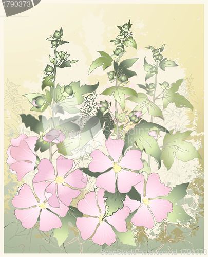 Image of Pink flowers mallow with green leaves. Greeting card with mallow.