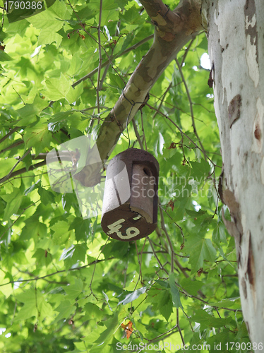 Image of Bat house