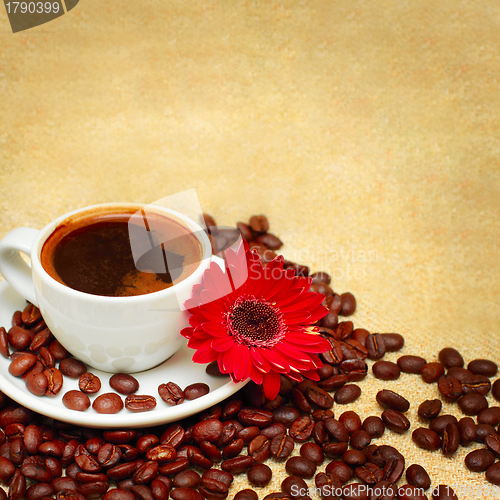 Image of Coffee background with cup, beans and red flower
