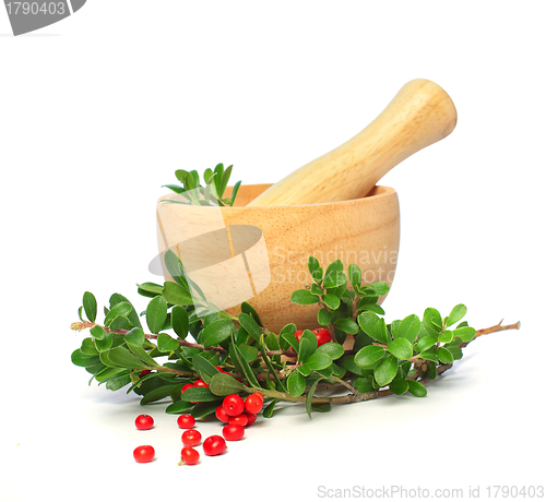 Image of Ñowberry, mortar and pestle isolated - alternative medicine and 