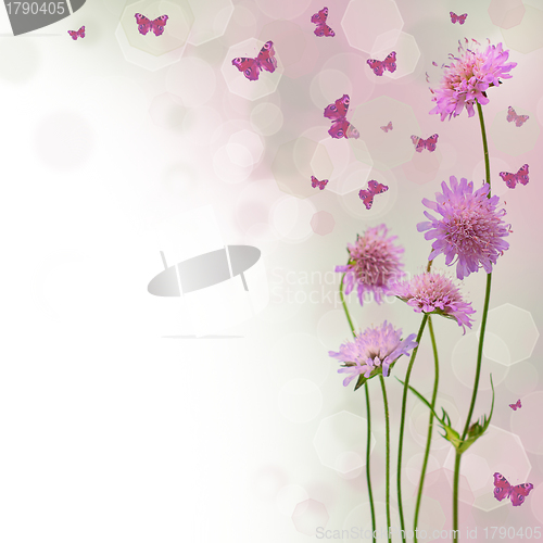 Image of Blossom background - blurred floral border with flowers and butt