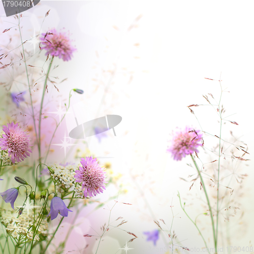 Image of Beautiful pastel floral border beautiful blurred background (sha
